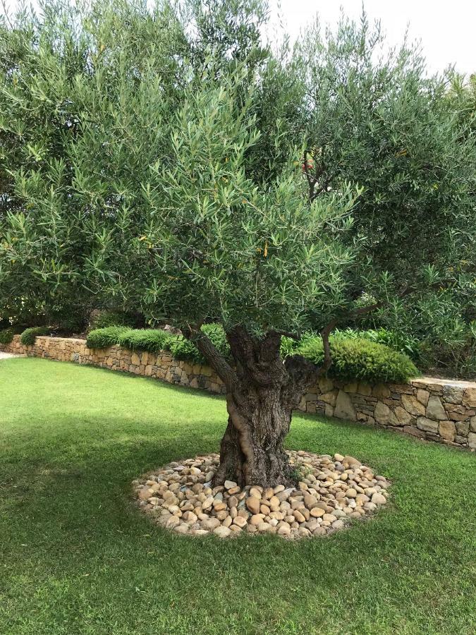 Belle Villa Dans Clos Prive - Saint Raphael Boulouris Экстерьер фото